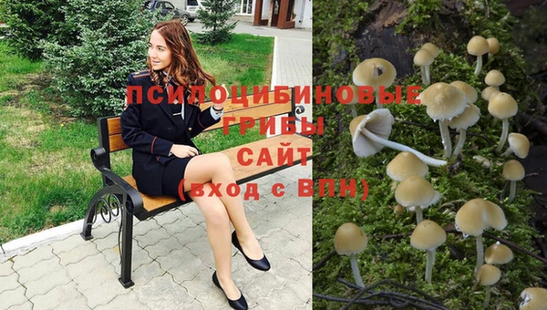 2c-b Пенза