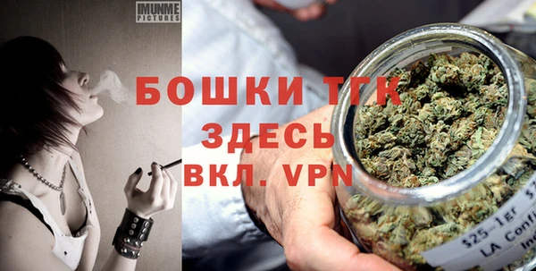 дурь Заводоуковск