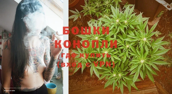 дурь Заводоуковск