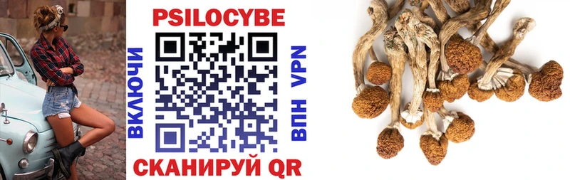 Купить закладки  Инсар  Псилоцибиновые грибы прущие грибы 