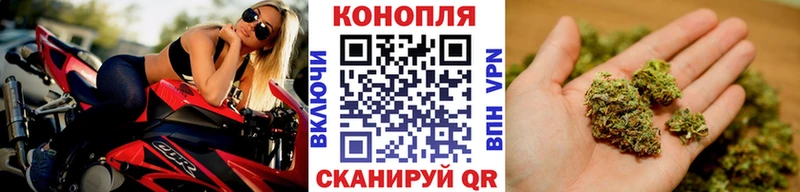 Купить закладки  Инсар  Конопля OG Kush 